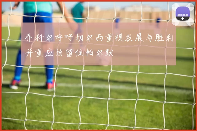 乔科尔呼吁切尔西重视发展与胜利并重应该留住帕尔默